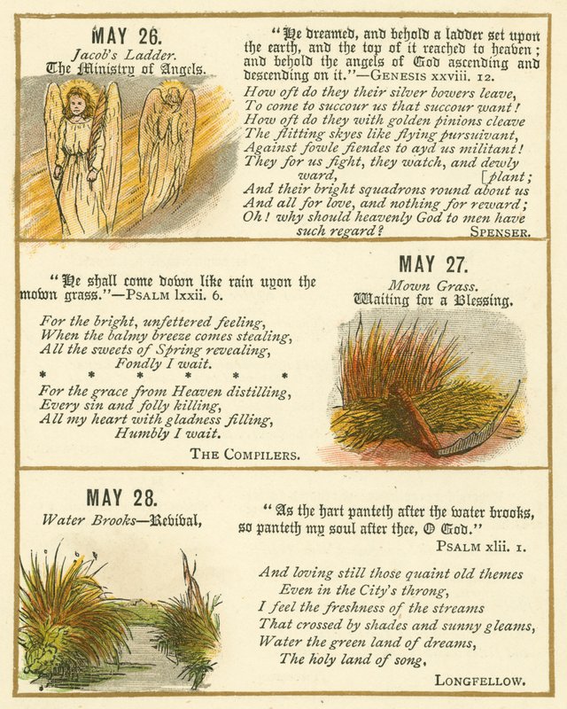Page from The Bible Emblem Anniversary Book by William Foster
