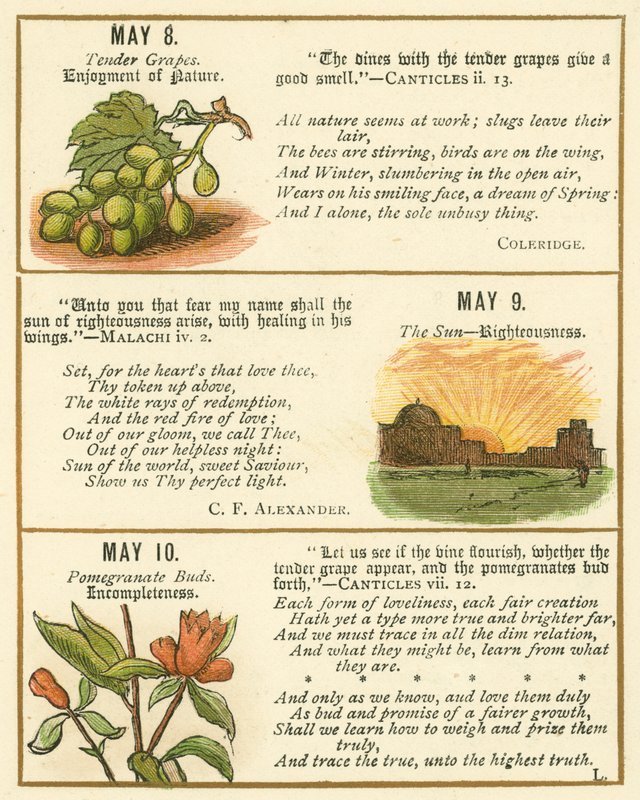 Page from The Bible Emblem Anniversary Book by William Foster