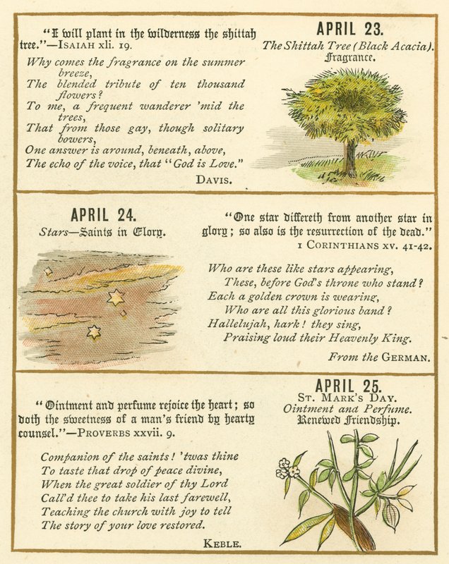 Page from The Bible Emblem Anniversary Book by William Foster
