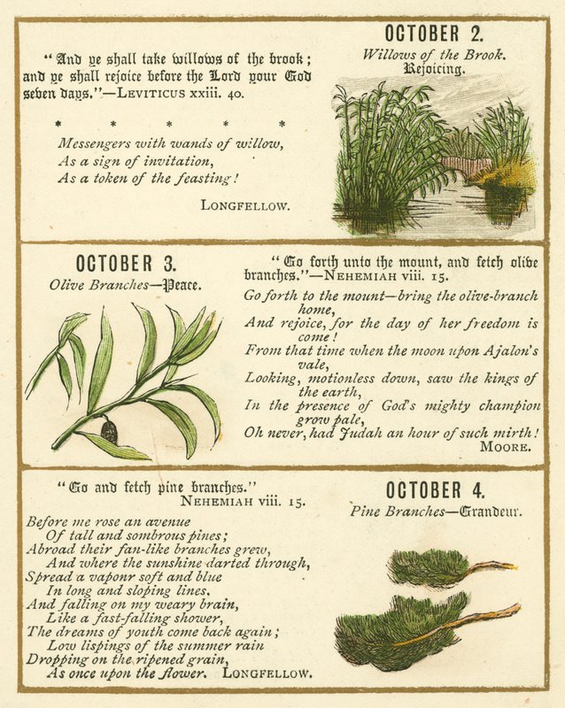 Page from The Bible Emblem Anniversary Book by William Foster