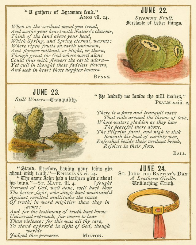 Page from The Bible Emblem Anniversary Book by William Foster