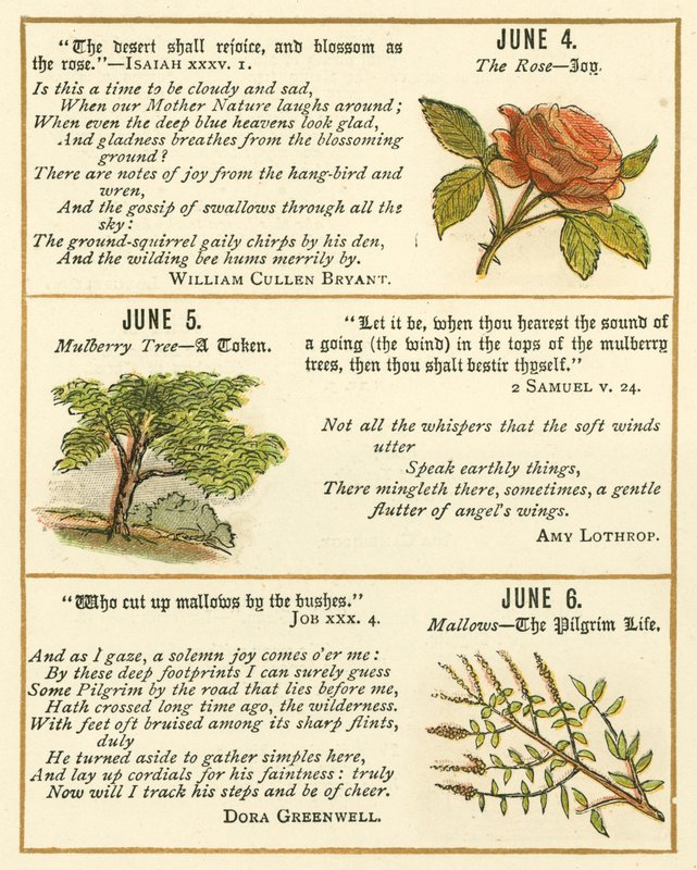 Page from The Bible Emblem Anniversary Book by William Foster