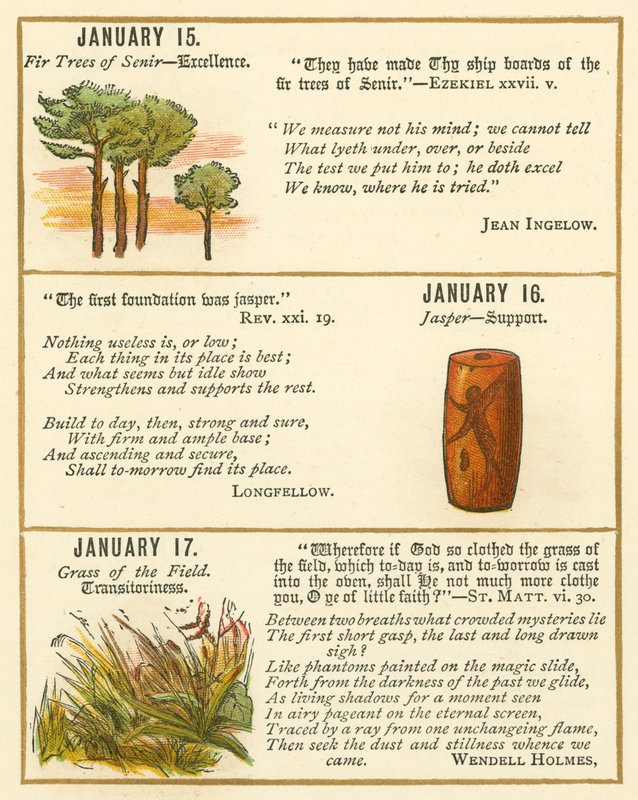 Page from The Bible Emblem Anniversary Book by William Foster