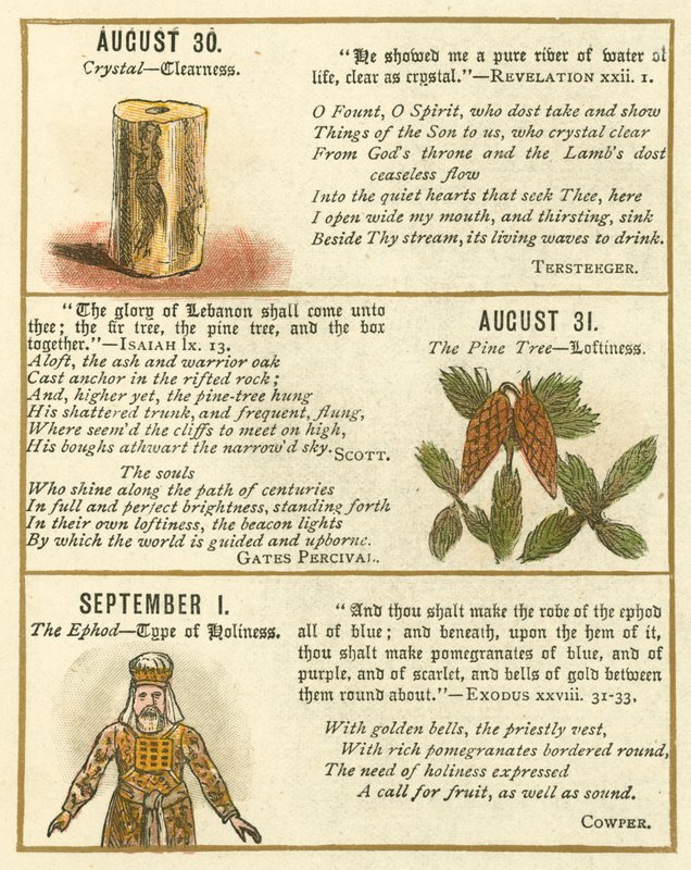 Page from The Bible Emblem Anniversary Book by William Foster