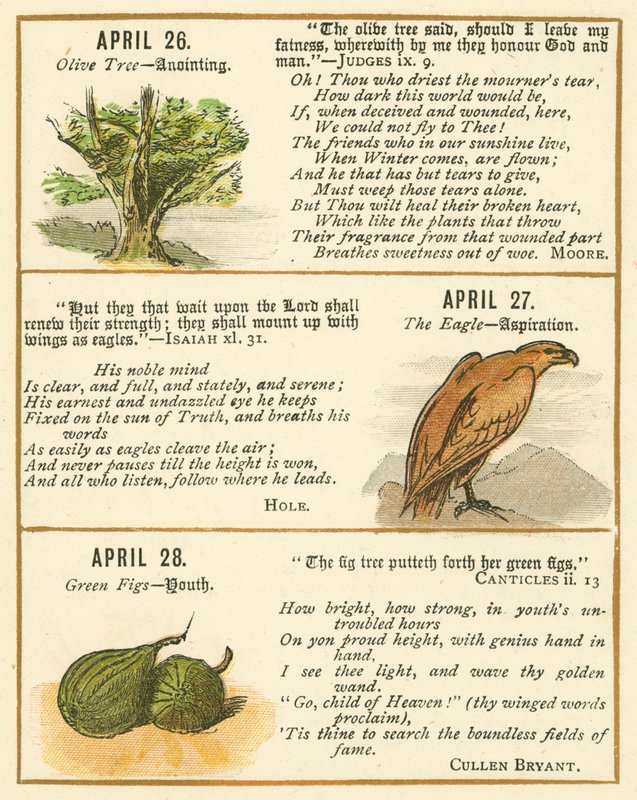 Page from The Bible Emblem Anniversary Book by William Foster