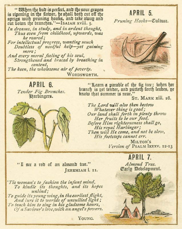 Page from The Bible Emblem Anniversary Book by William Foster
