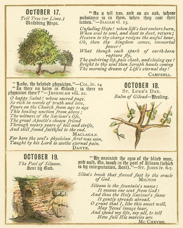 Page from The Bible Emblem Anniversary Book by William Foster