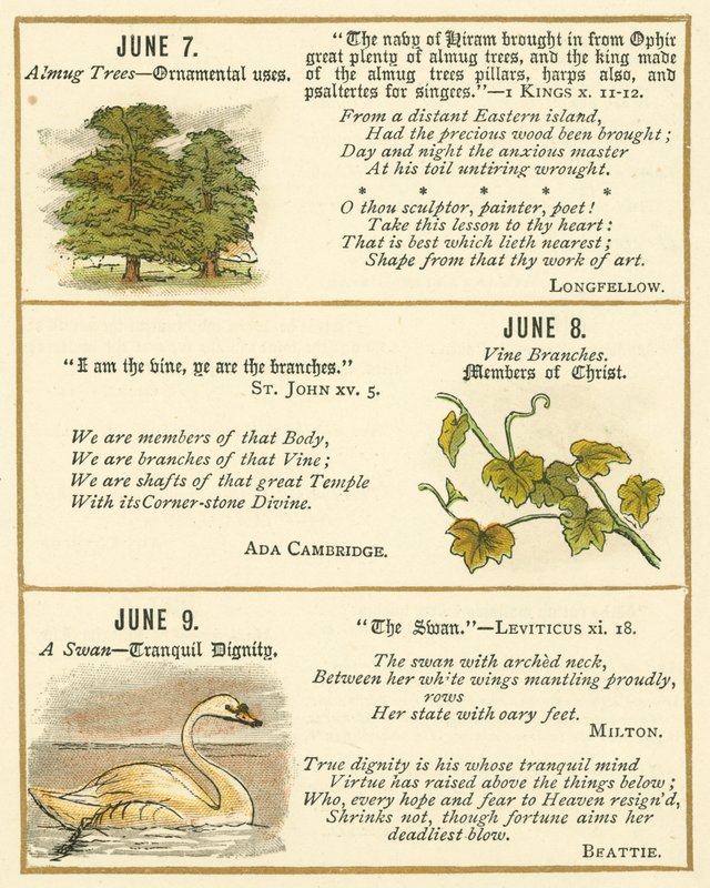 Page from The Bible Emblem Anniversary Book by William Foster