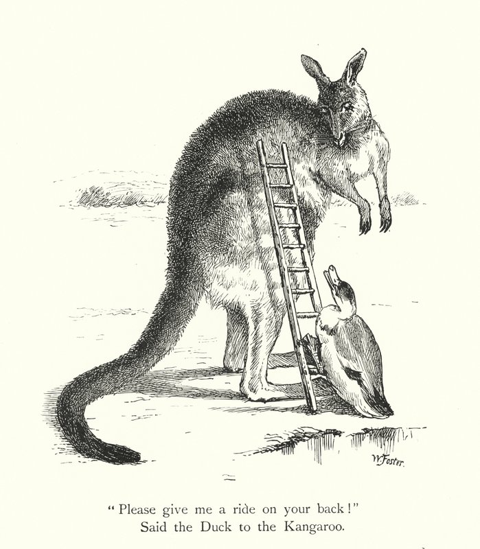The Duck And The Kangaroo by William Foster