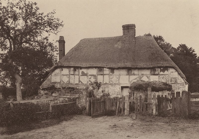 Near Fittleworth, West Sussex by William Galsworthy Davie