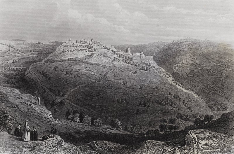 Mount Lion, Jerusalem, from the Hill of Evil Counsel by William H. Bartlett