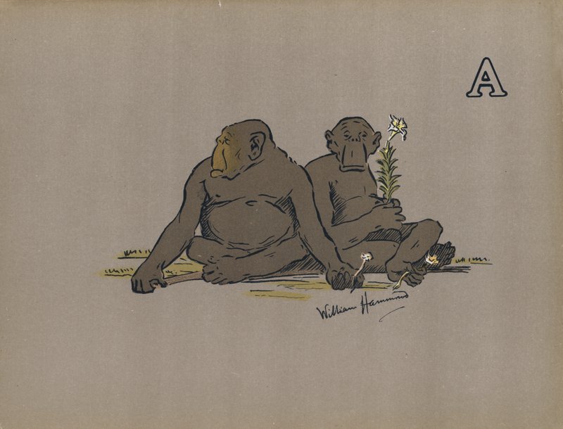 Letter A, Aesthetic Anthropoid Apes Adopting Abnormally Apathetic Attitudes by William Hammond