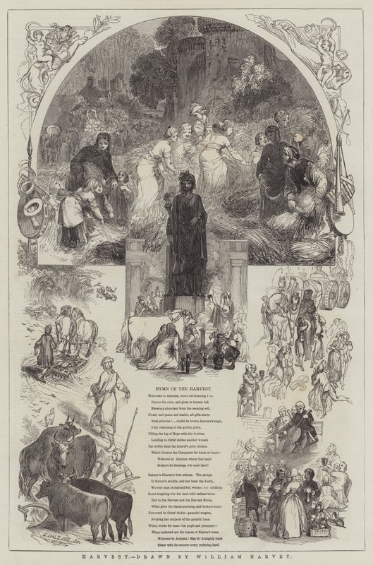 Harvest by William Harvey