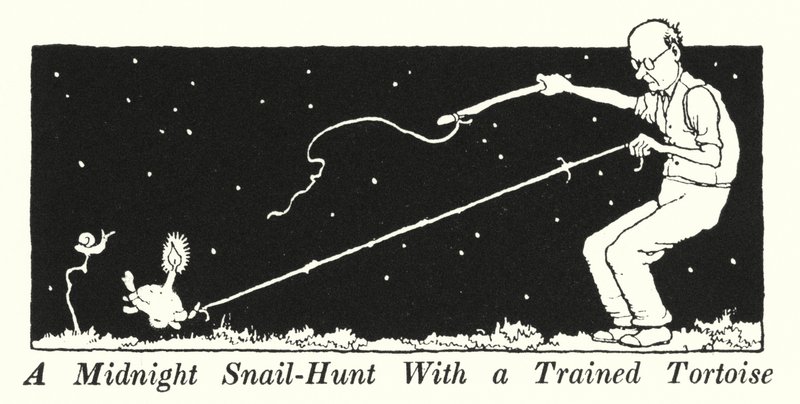 A Midnight Snail-Hunt With a Trained Tortoise by William Heath Robinson
