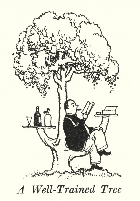 A Well-Trained Tree by William Heath Robinson