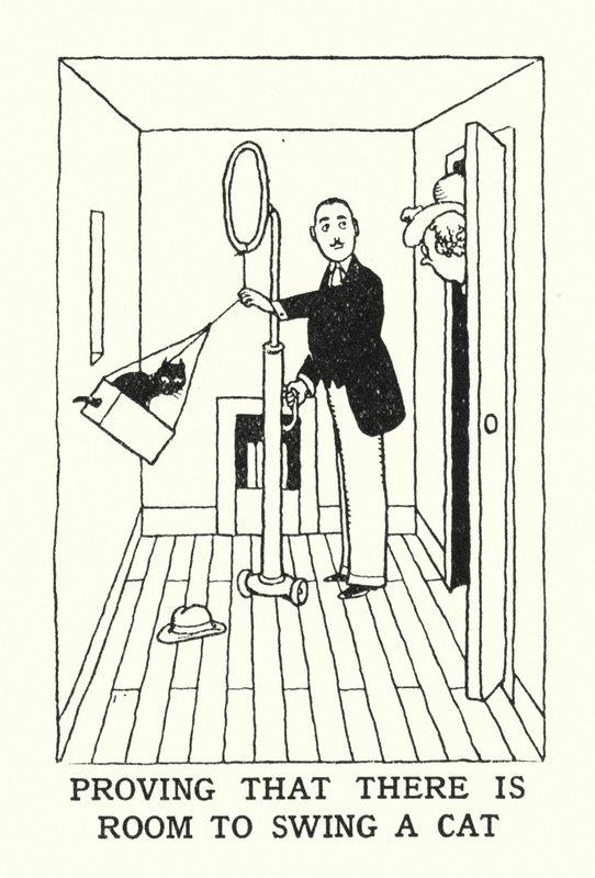 Proving That There is Room to Swing a Cat by William Heath Robinson
