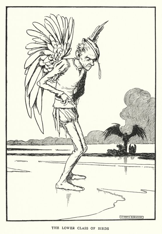 The lower class of birds by William Heath Robinson