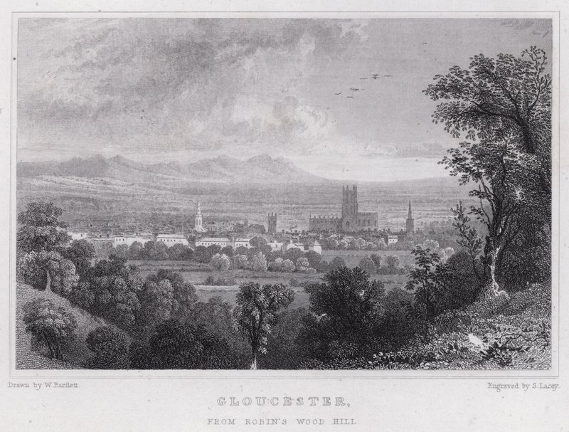 Gloucester, from Robin