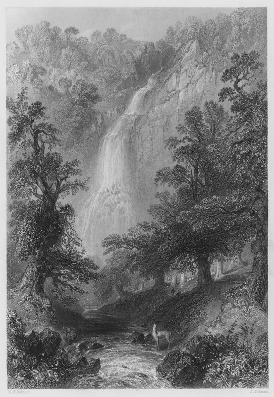 Powerscourt Fall by William Henry (after) Bartlett