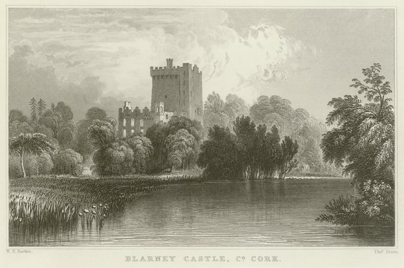 Blarney Castle in County Cork by William Henry Bartlett