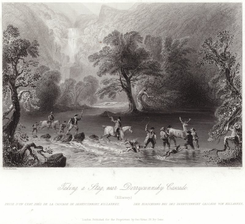 Taking a Stag near Derrycunnihy by William Henry Bartlett