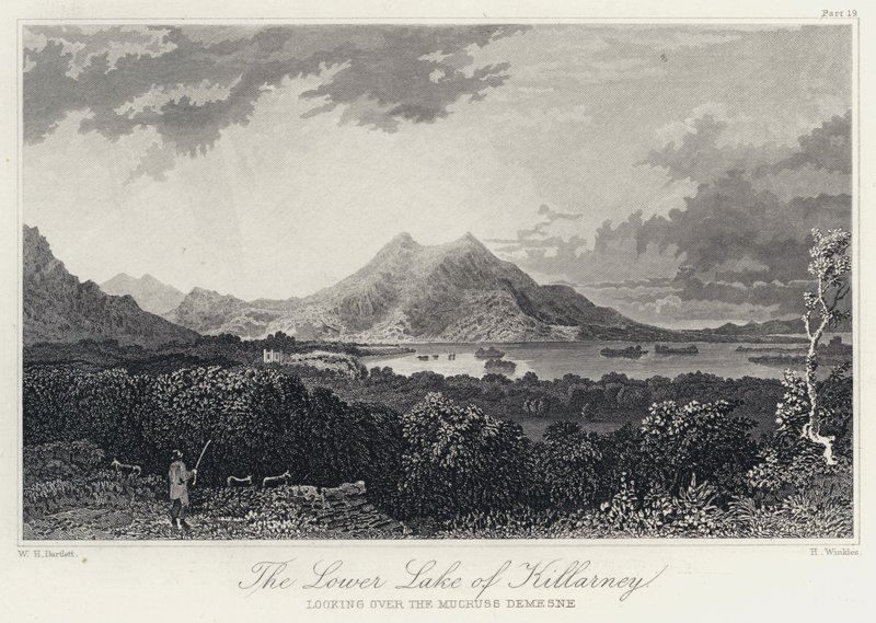 The Lower Lake of Killarney, Looking Over the Mucruss Demesne by William Henry Bartlett