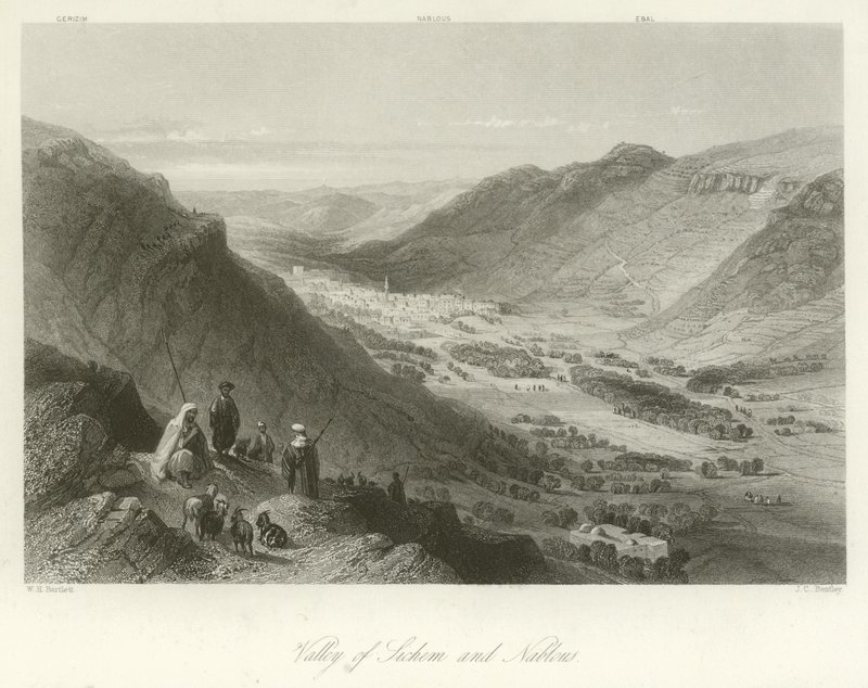 Valley of Sichem and Nablus, Palestine by William Henry Bartlett