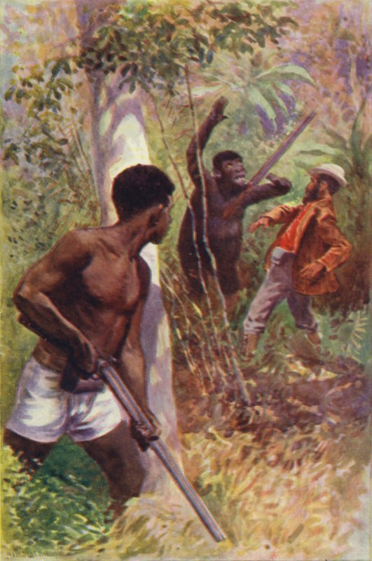 Illustration for The Gorilla Hunters by R M Ballantyne by William Henry Charles Groome