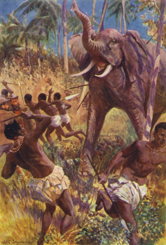 Illustration for The Gorilla Hunters by R M Ballantyne by William Henry Charles Groome