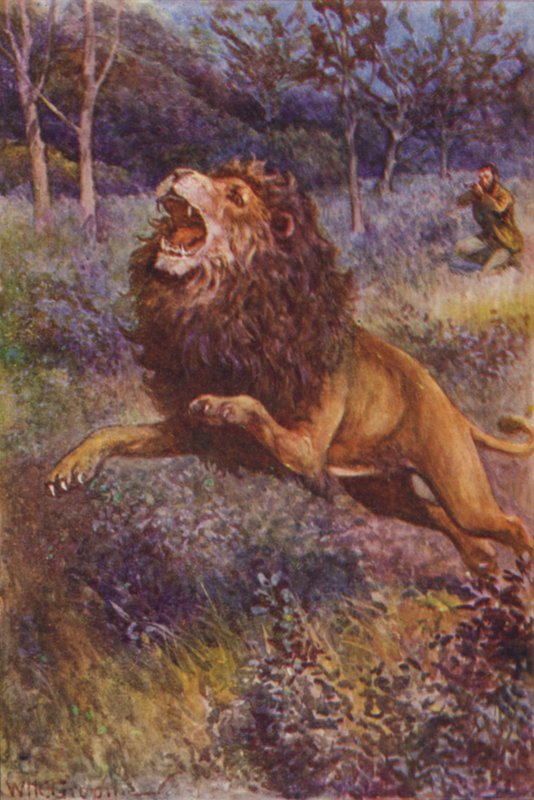 Illustration for 