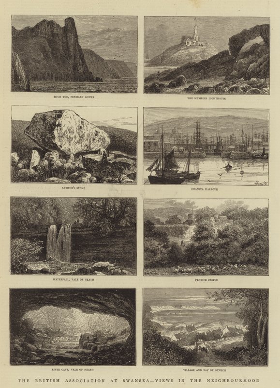 The British Association at Swansea, Views in the Neighbourhood by William Henry James Boot