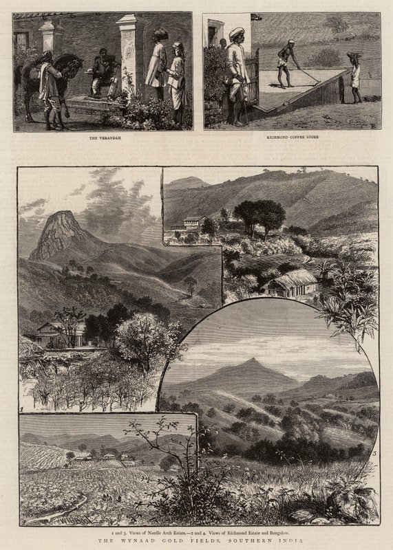The Wynaad Gold Fields, Southern India by William Henry James Boot