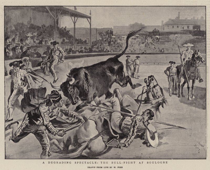A Degrading Spectacle, the Bull-Fight at Boulogne by William Henry Pike
