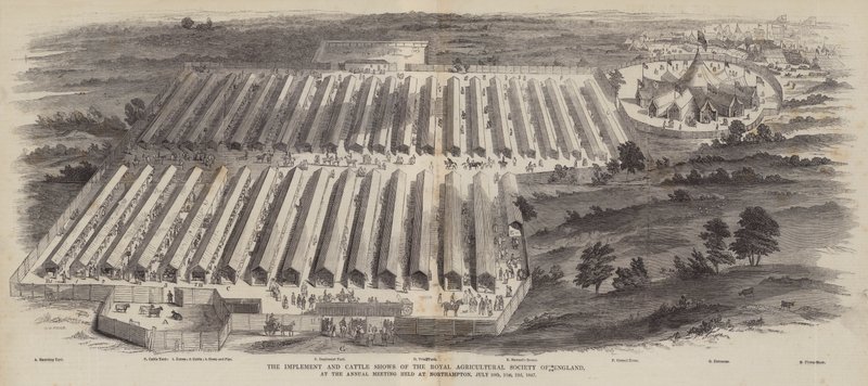 The Implement and Cattle Shows of the Royal Agricultural Society of England, at the Annual Meeting held at Northampton, 20, 21, 22 July 1847 by William Henry Pike