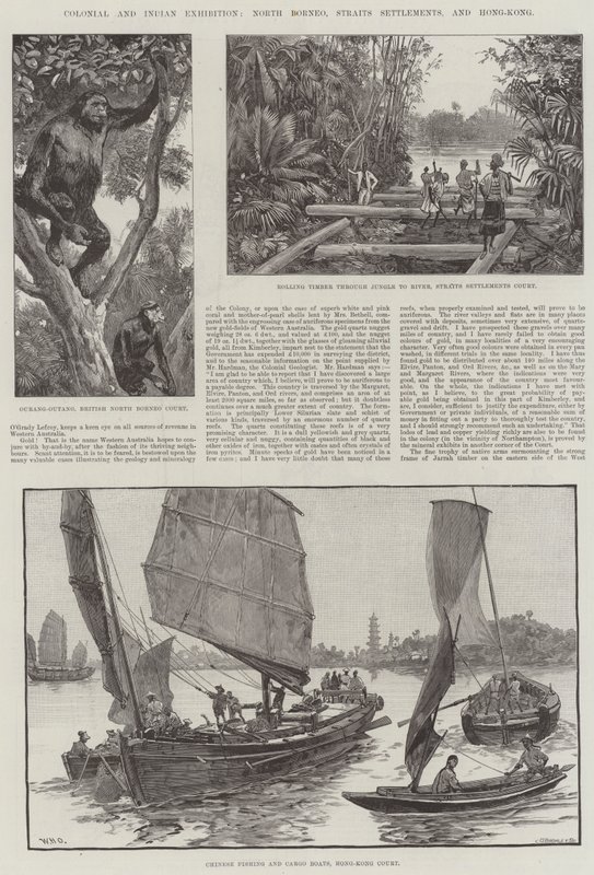 Colonial and Indian Exhibition, North Borneo, Straits Settlements, and Hong-Kong by William Heysham Overend