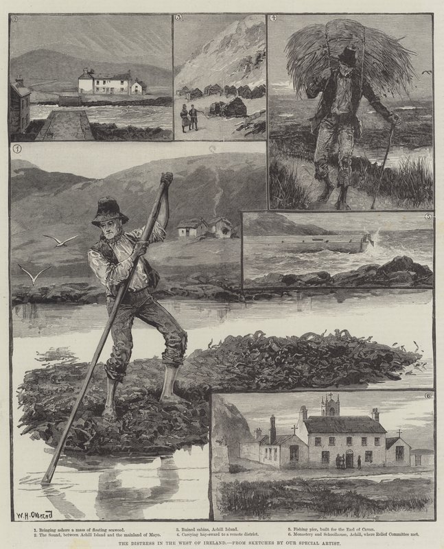 The Distress in the West of Ireland by William Heysham Overend