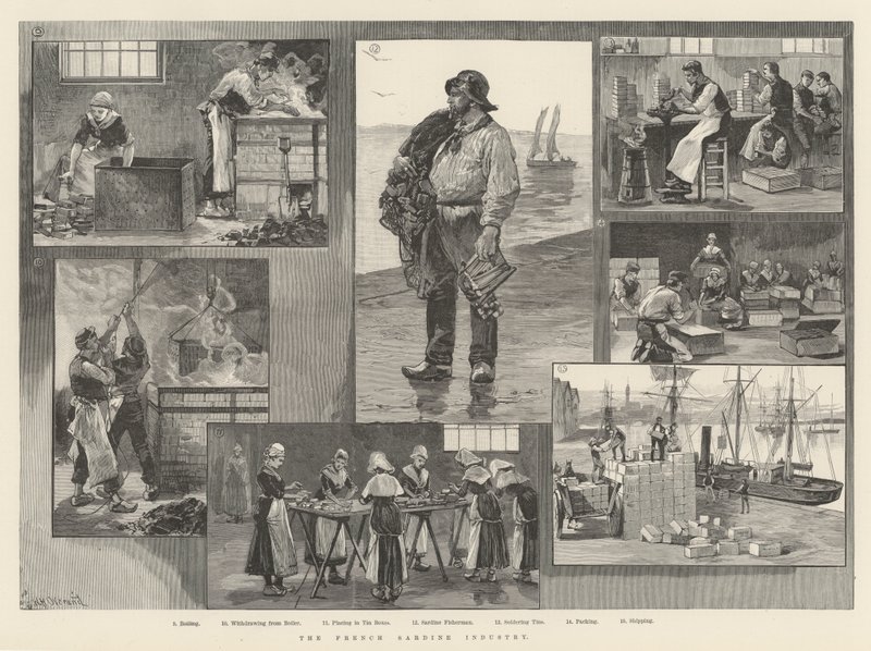 The French Sardine Industry by William Heysham Overend