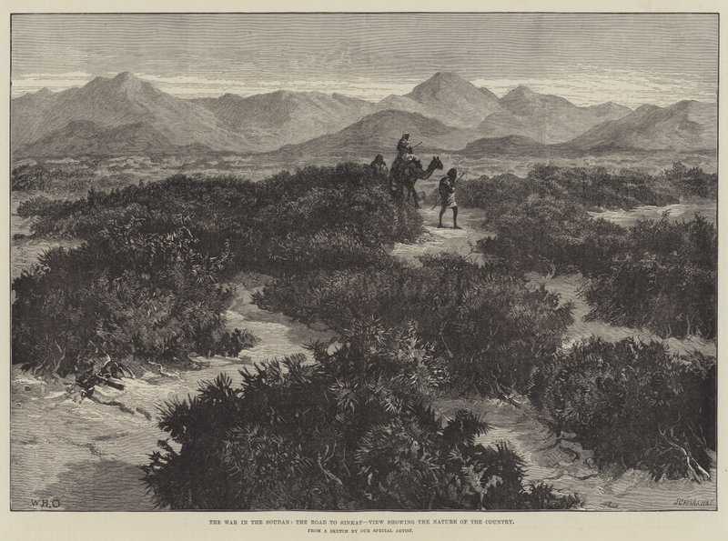The War in the Soudan, the Road to Sinkat, View showing the Nature of the Country by William Heysham Overend