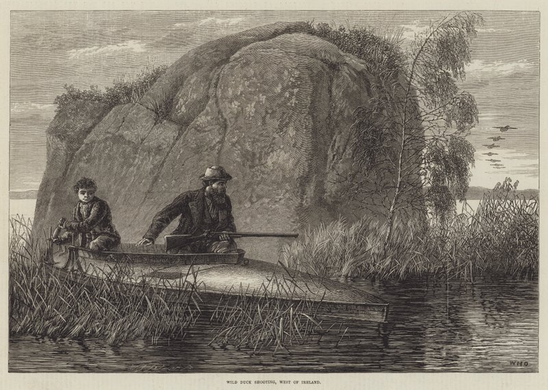 Wild Duck Shooting, West of Ireland (engraving) by William Heysham Overend