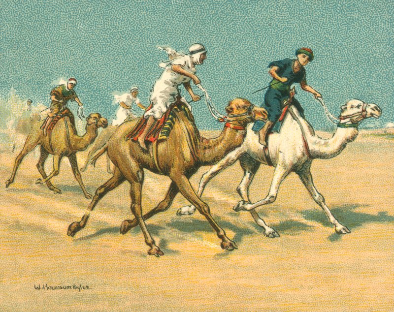 Races Historic and Modern, Camel Races by William Hounsom Byles