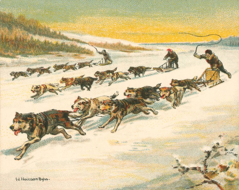 Races Historic and Modern, Canadian Dogsleigh Races by William Hounsom Byles