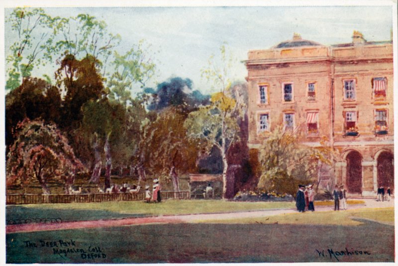 The Deer Park, Magdalen College, New Buildings by William Matthison