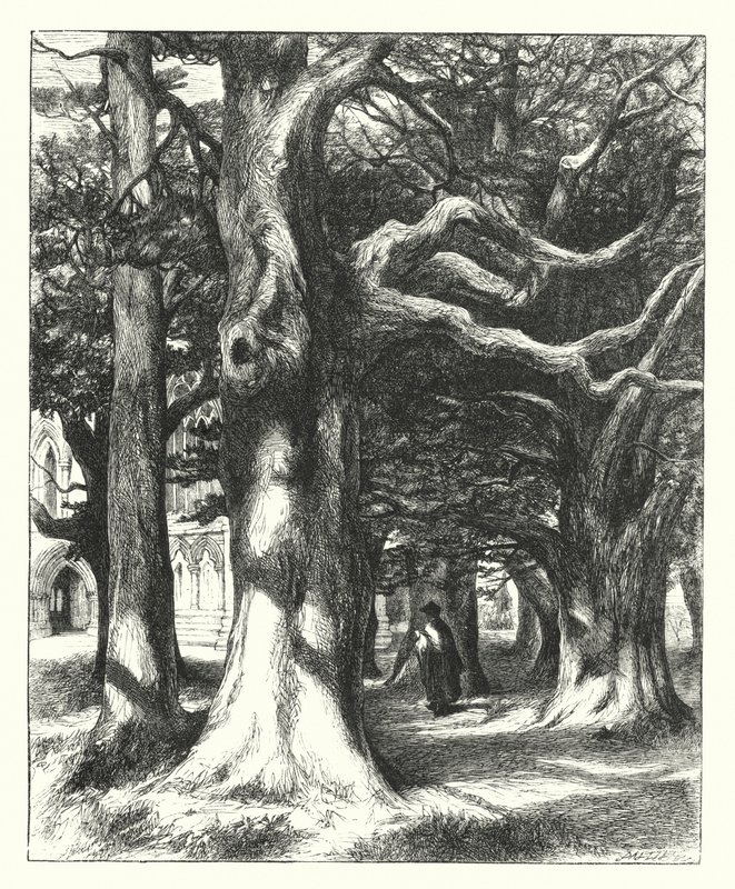 The Way to the Chapter House by William Paton Burton