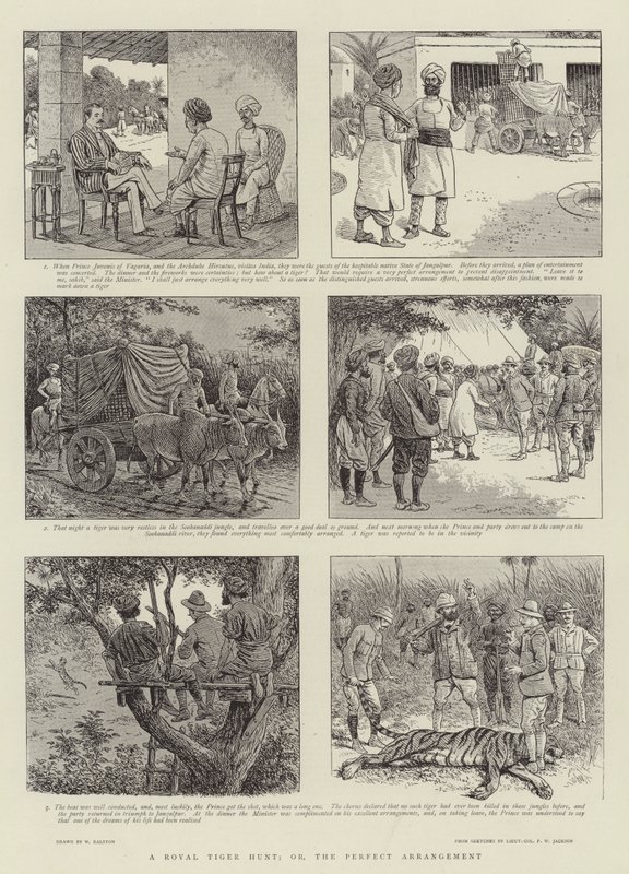 A Royal Tiger Hunt, or, the Perfect Arrangement by William Ralston