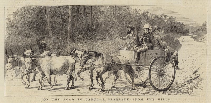 On the Road to Cabul, a Stampede from the Hills by William Ralston