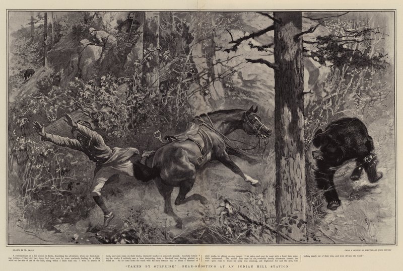 Taken by Surprise, Bear-Shooting at an Indian Hill Station by William Small