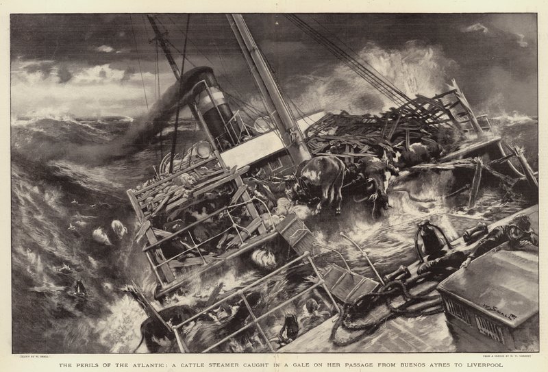 The Perils of the Atlantic, a Cattle Steamer Caught in a Gale on Her Passage from Buenos Ayres to Liverpool by William Small