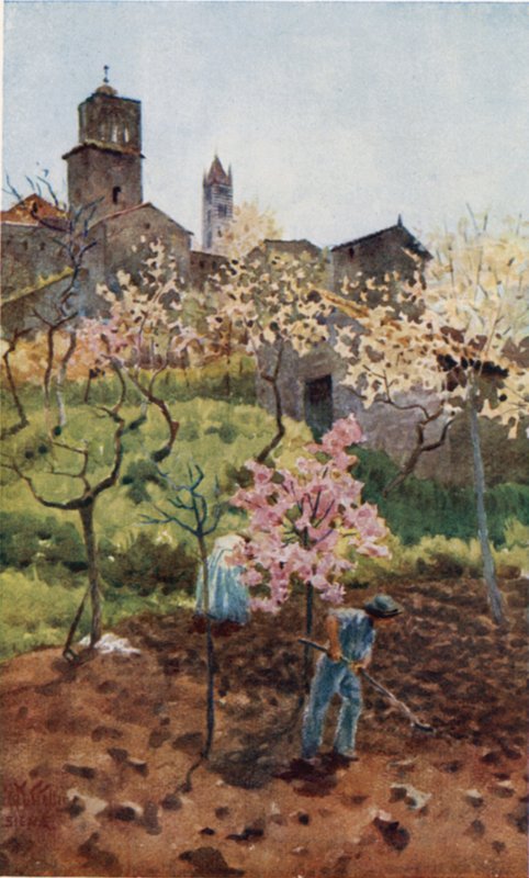 Siena, Under the Walls by William Wiehe Collins
