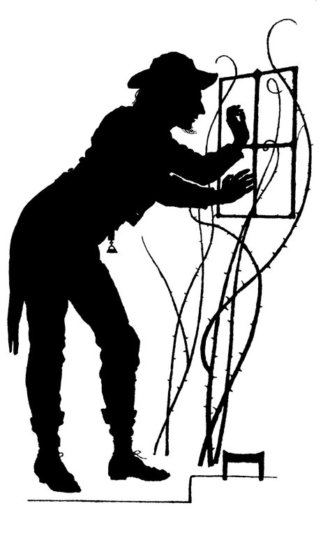 Illustration for The Courtin