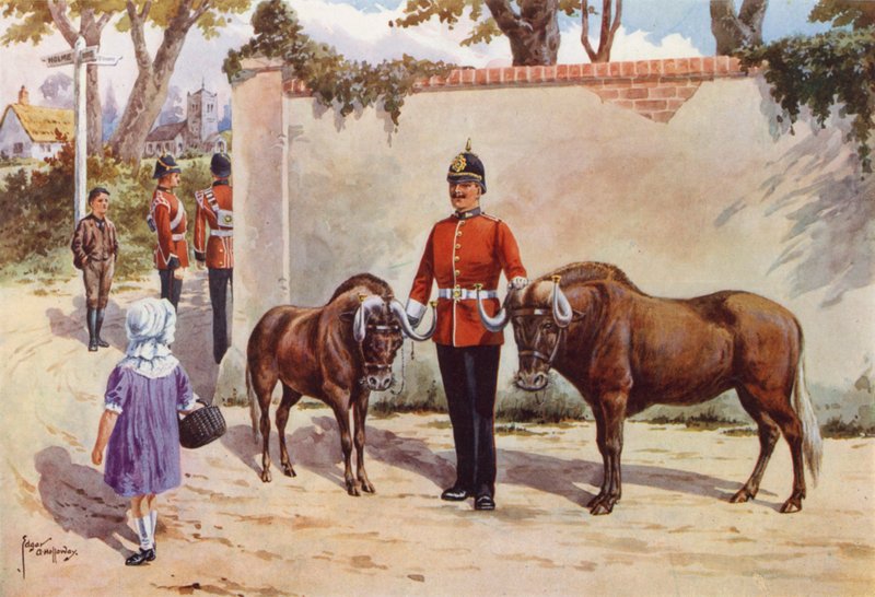 Wildebeests (or White-tailed Gnu), Pets of the South Wales Borderers by after Edgar Alfred Holloway